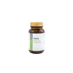 Fenouil Semence