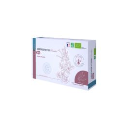 Harpagophytum Fluide Bio