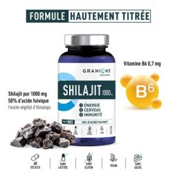 Granions Shilajit 1000Mg Gelul 60