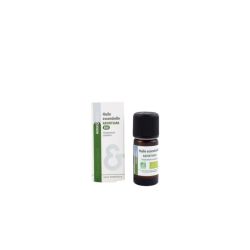 Huile Essentielle de Ravinstara Bio