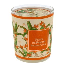 Collines Prov Boug Fl Paradis 180G