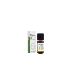 Huile Essentielle de Cyprès Bio