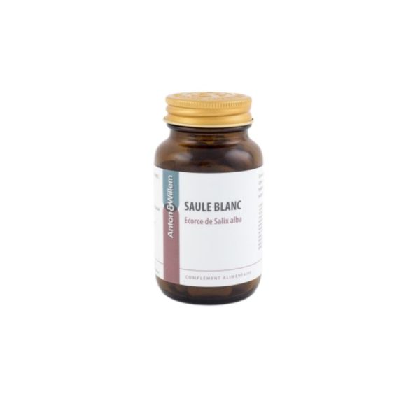 Saule Blanc