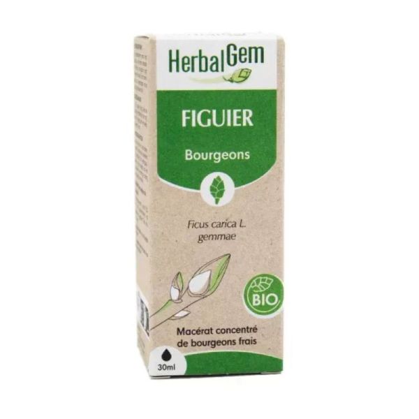 Herbalgem Figuier Macerat Bio Fl C-Gtt/30Ml