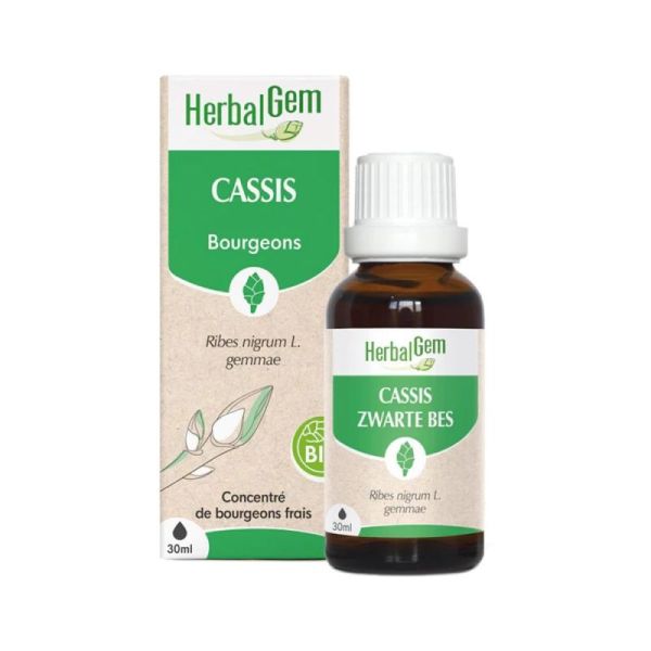 Herbalgem Cassis Macerat Bio Fl C-Gtt/30Ml