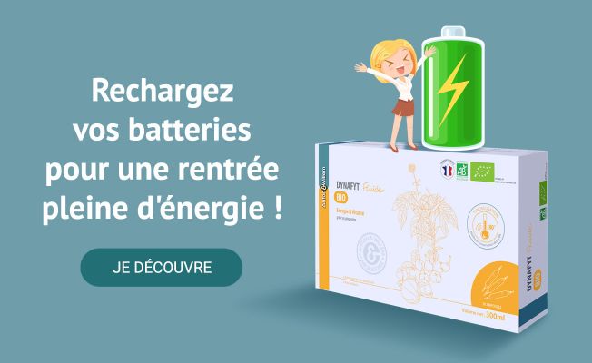 dynafit énergie